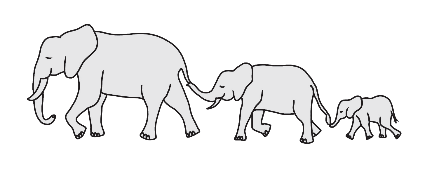 Matriarch Elephants