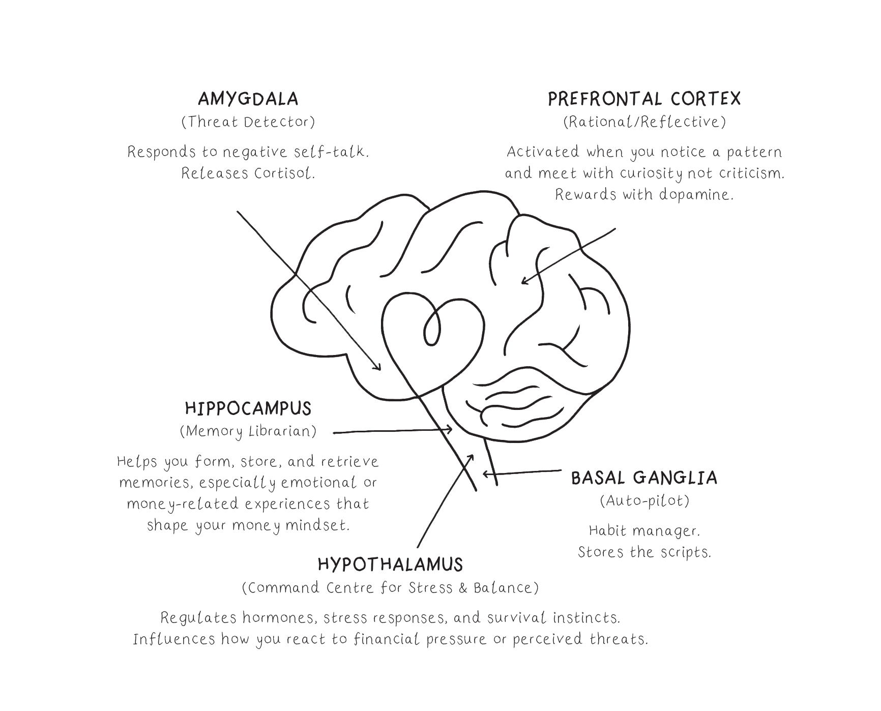 Brain